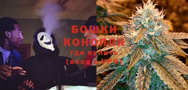 гидра Аркадак