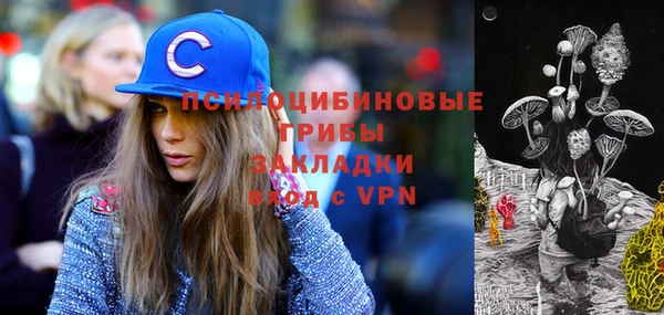 гидра Аркадак