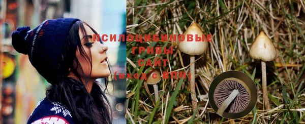 spice Балабаново